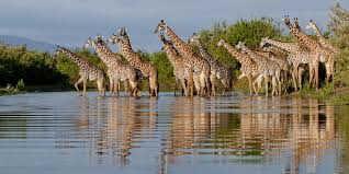 Lake Manyara