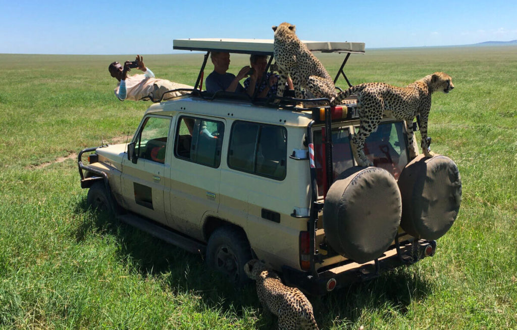 Serengeti National Park