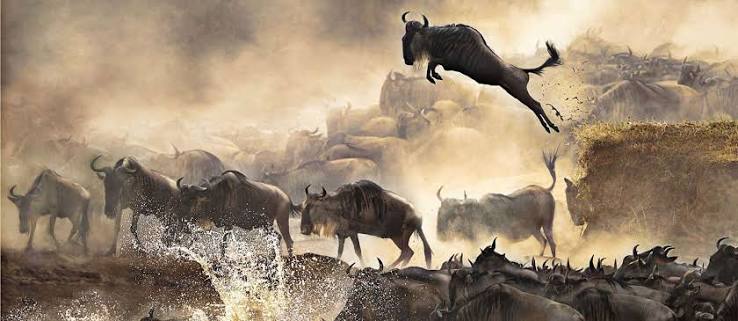 Great Migration