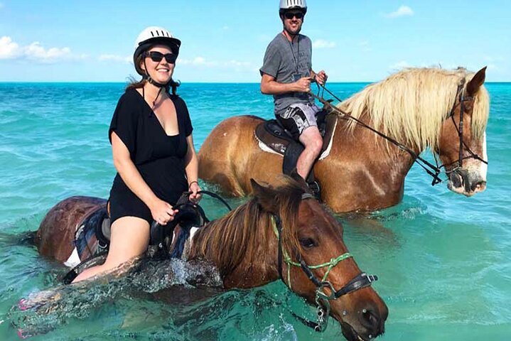 Honeymoon Safari