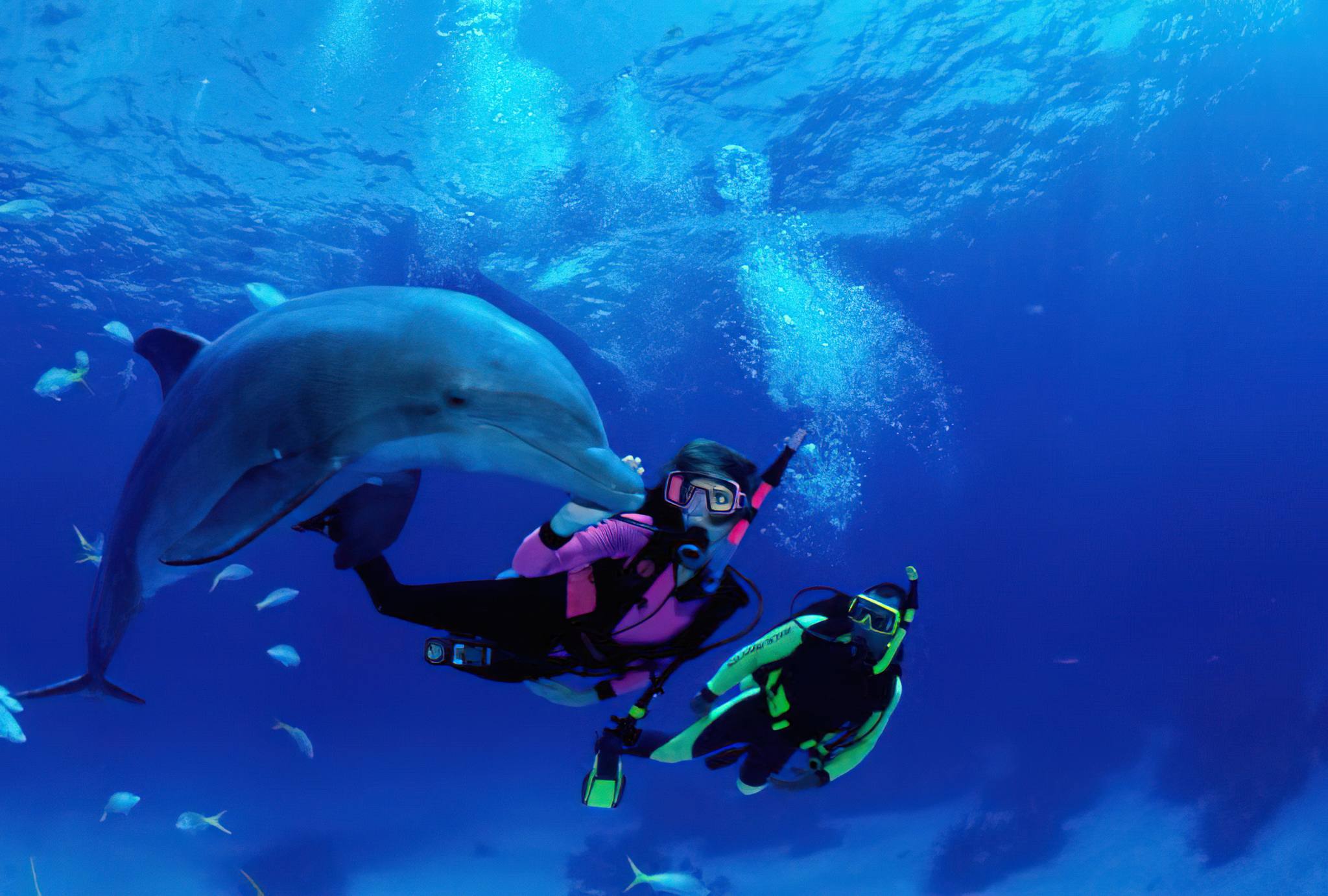 Diving